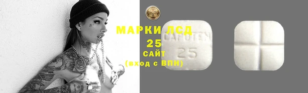 соль ск Володарск